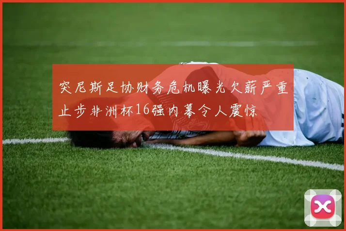 突尼斯足协财务危机曝光欠薪严重止步非洲杯16强内幕令人震惊