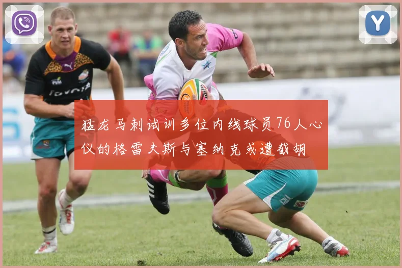 猛龙马刺试训多位内线球员76人心仪的格雷夫斯与塞纳克或遭截胡