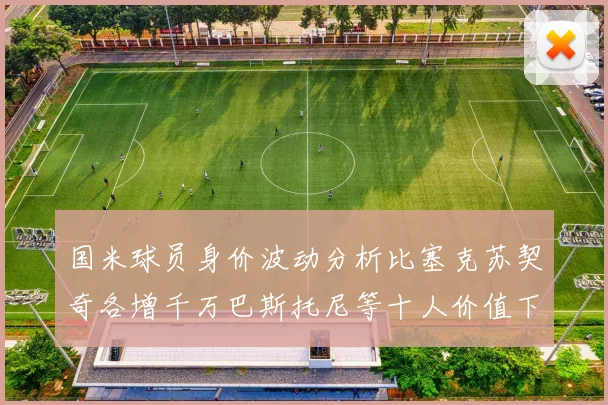 国米球员身价波动分析比塞克苏契奇各增千万巴斯托尼等十人价值下滑